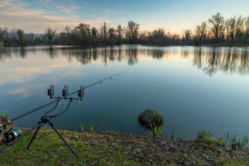 Carp fishing rods on a lake