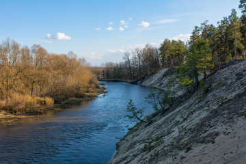River in the spring forest