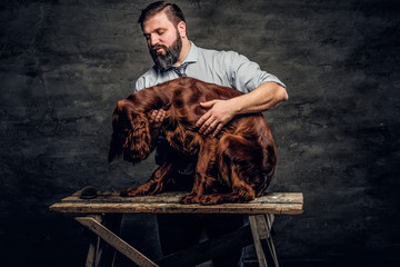 Middle-aged bearded with his English Setter who sitting on a wooden pedestal. Studio photo against...