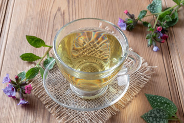 Herbal tea with fresh lungwort flowers