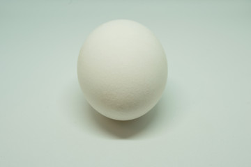 white chicken egg isolated on white background