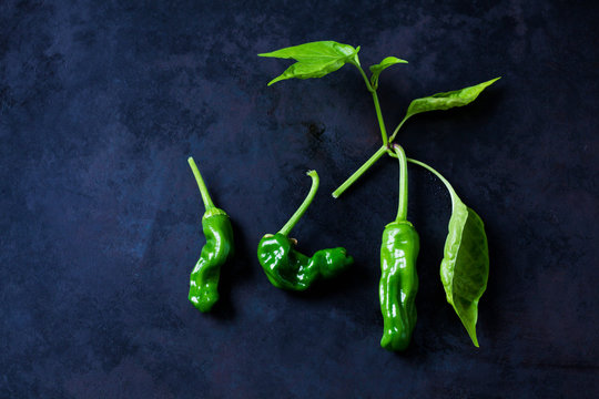 Green peppers on dark background