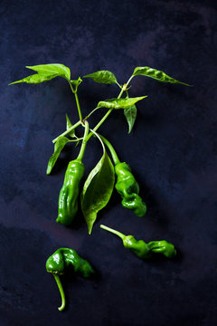 Green peppers on dark background