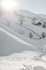 Fototapete bei efototapeten.de bestellen   