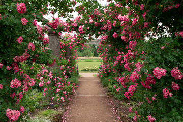 rosenpark