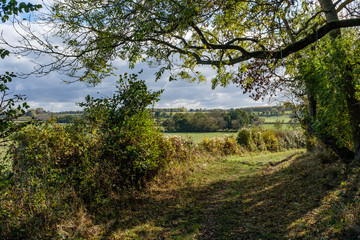 A country footpath. The grassy path runs between trees, with open countryside visible in the distance.