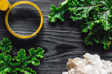 Magnifying Glass and Quartz with Foliage