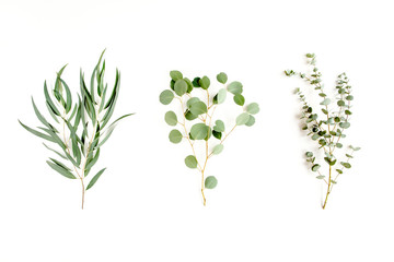 Mix of herbs green branches, leaves eucalyptus and plants collection on white background. flat lay,...