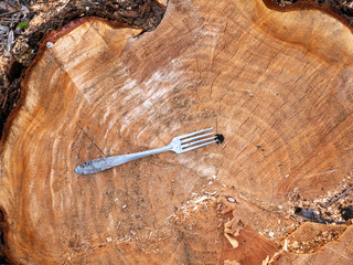 Fork in the cut of the tree