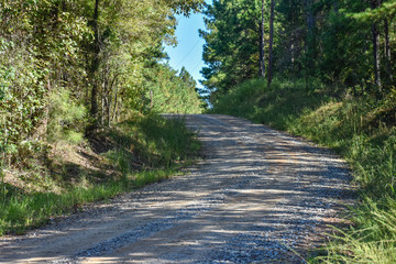 Dirt Country Road