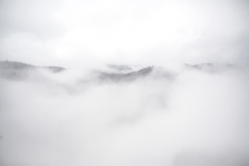 fog in the mountains