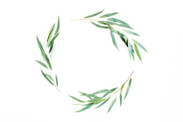 wreath frame made of branches eucalyptus isolated on white background. lay flat, top view