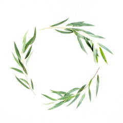 Round wreath frame made of branches eucalyptus isolated on white background. lay flat, top view