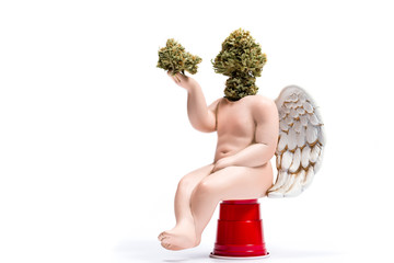 Guardian angel of cannabis