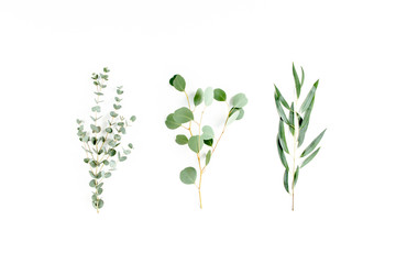 Fototapeta na wymiar Mix of herbs green branches, leaves eucalyptus and plants collection on white background. flat lay, top view