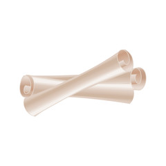 old scroll tied with a rope on the bow vector.