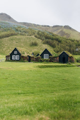 Houses with a green roof in the middle of the mountains. Wooden houses in the nature.