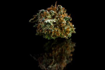 beautiful marijuana close up