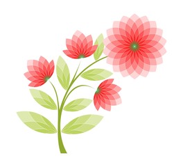 Beautiful Pink Flower