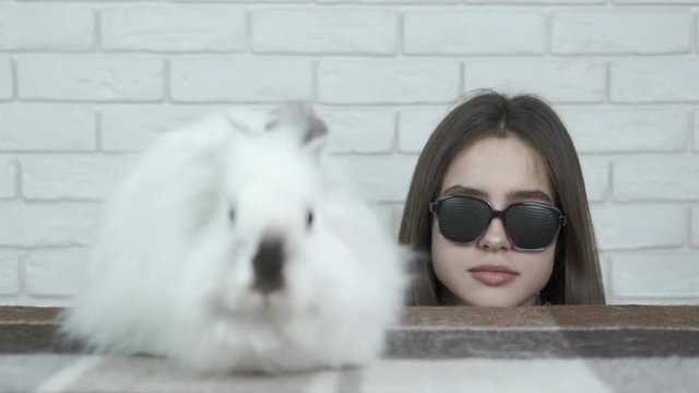 Girl playing with a white rabbit. A charming girl in obscura glasses looks at a rabbit.