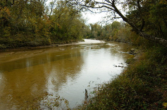 View of the Comite River at Comite River Park, a popular mountain bike trails site, Baton Rouge, Louisiana, USA.