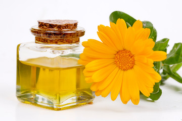 Herbal calendula officinalis in the glass and drop oil Isolated