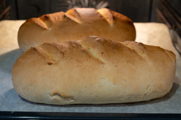 loaf of bread