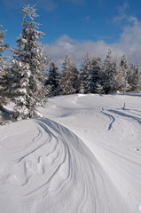frosty day on the top of the mountain