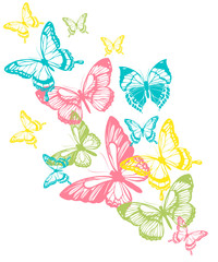 beautiful color butterflies,set, isolated  on a white