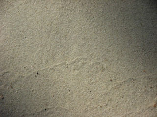 sand on the shore of the lake