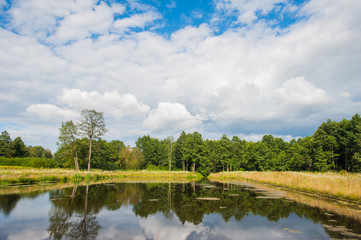 Beautiful still lake with trees on the horizon and white puffy clouds in the sky. Peaceful summer...