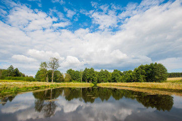 Beautiful still lake with trees on the horizon and white puffy clouds in the sky. Peaceful summer...