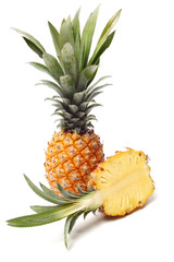 Pineapple on white background 