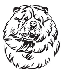 Decorative portrait of Chow Chow Dog vector illustration