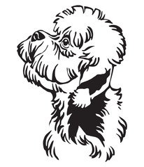 Decorative portrait of Dandie Dinmont Terrier Dog vector illustration