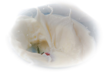 strawberry with cream