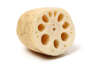 Lotus root on the white background