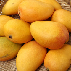 Traditional Chinese black herbs dried wolfberry on white background