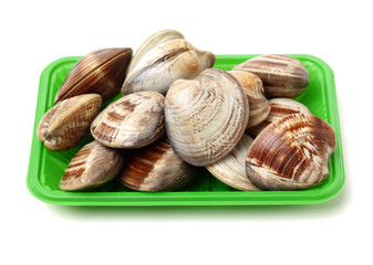 Stacked fresh raw clams on white background