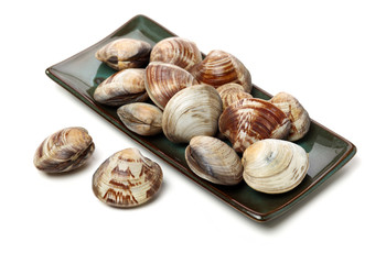 Stacked fresh raw clams on white background