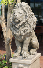 Old Lion stucco background