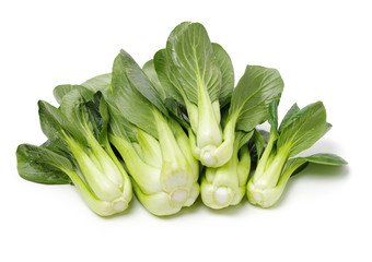 Obraz premium Pok Choi on white background