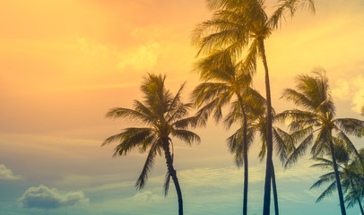 Beautiful colourful tropical  island sunset.