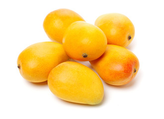 Mango on white background