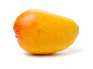 Mango on white background