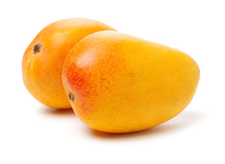 Mango on white background