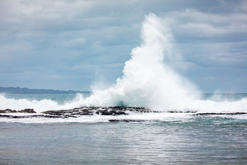 Big waves breaking on the shores of hawaii