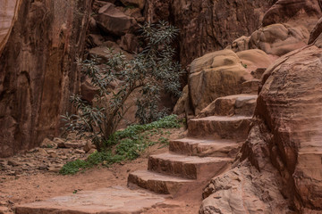 Obraz premium small stairway object carved in rock sand stones in Red Canyon world famous heritage touristic Israel site for hiking sightseeing and climbing 