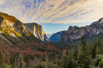 Yosemite National Park Scenic View