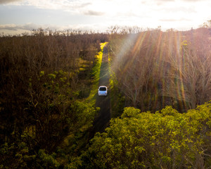 Modern Tesla Model 3 on single road in Hawaii